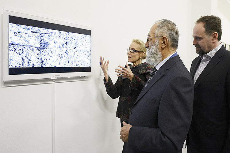 Karmapollis, wikimedia.org, (CC BY-SA 4.0)