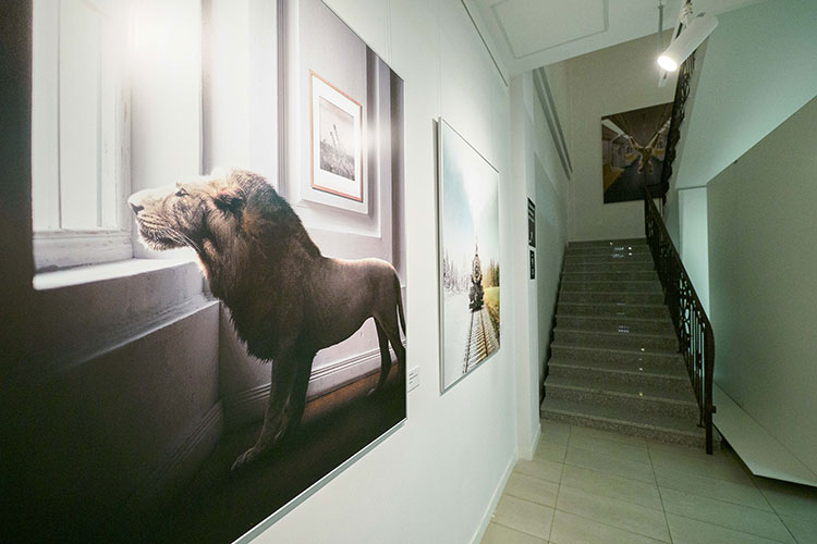 «Я не знаю, как в Татарстане и России, но в Малайзии очень богатая природа — все зеленое, много деревьев, рек. Мы окружены природой. Наверное, поэтому она так часто встречается в моем творчестве»