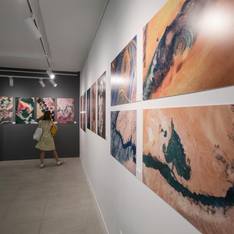 Выставка "Удивительная Земля" 2