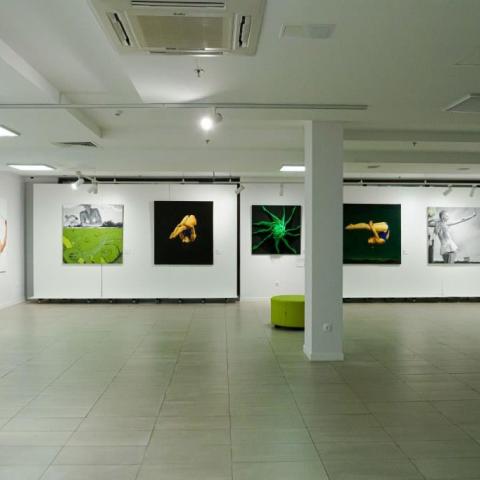 Выставка "Игра миров"