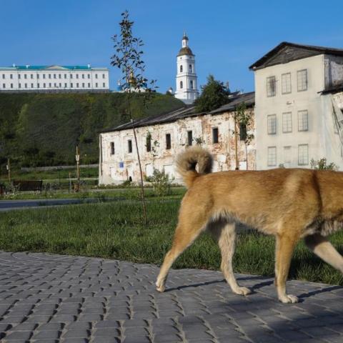 Крупные инвесторы не спешат вкладываться в реставрацию архитектурных памятников города, пока у властей не появится четкой стратегии и концепции того, как все это будет работать. Сейчас как раз идет подготовка мастер-плана