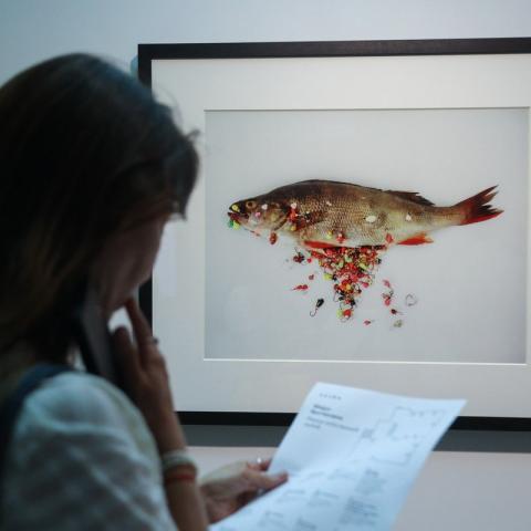 Бахтиозина3