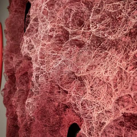 Арт-объект из серии «Colonisation»