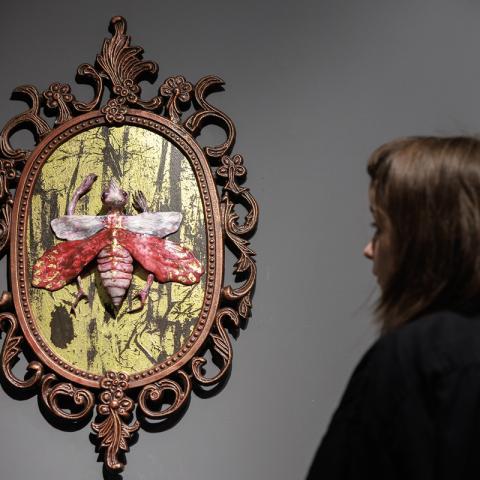 Ирина Дрозд