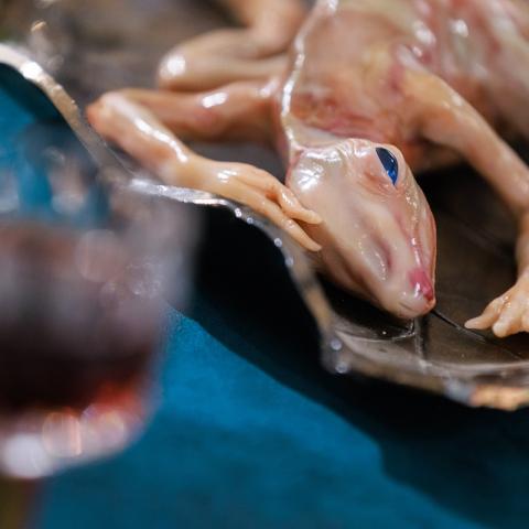 Ирина Дрозд