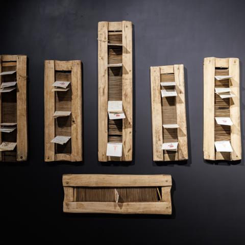 Фото: Сергей Елагин