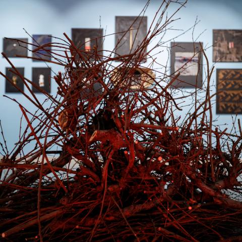 Фото: Сергей Елагин