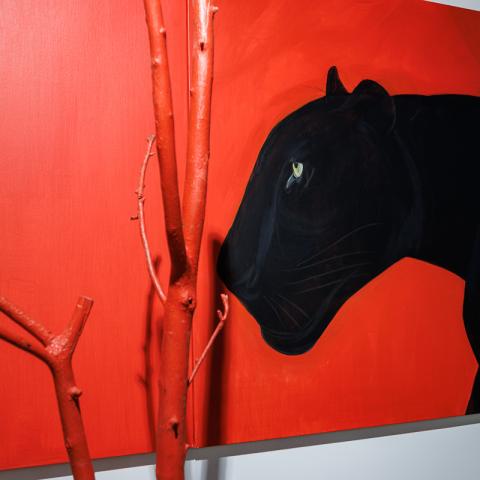 Фото: Сергей Елагин