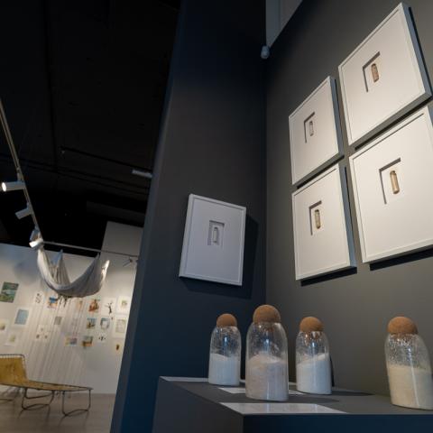 Фото: Сергей Елагин