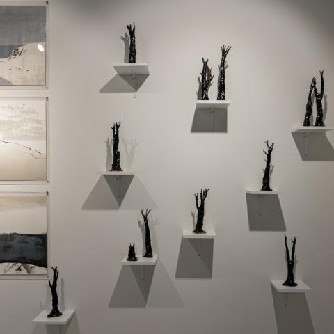 Фото: Сергей Елагин