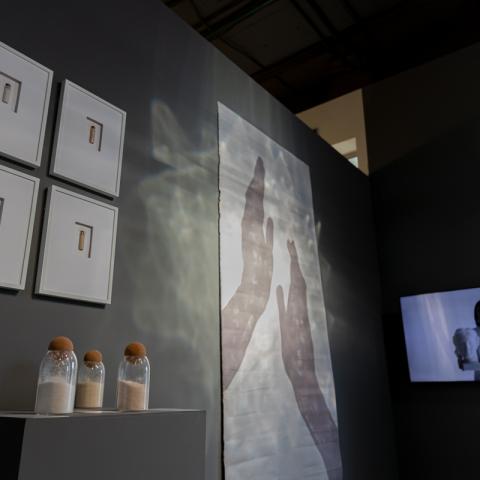 Фото: Сергей Елагин