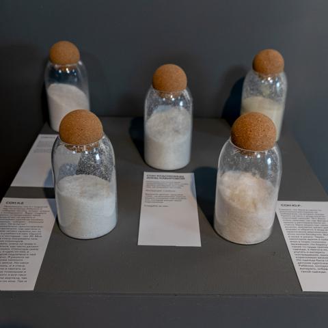 Фото: Сергей Елагин